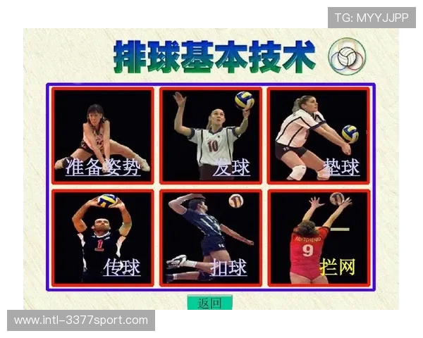 广州排球队荣登排球战术排行榜第四名背后的成功秘诀揭秘 广州排球队荣登排球战术排行榜第四名背后的成功秘诀揭秘